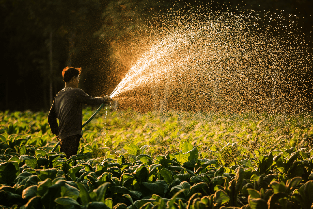 Derecho de Aguas y Riego