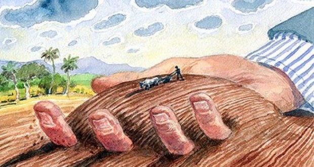 Derecho de Alquileres Rurales