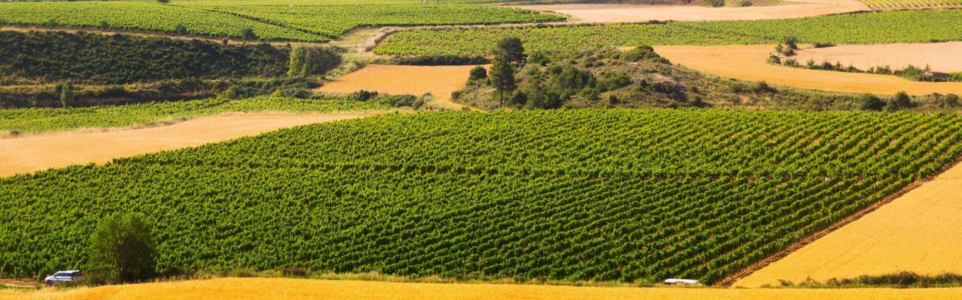 Derecho de Cooperativas Agropecuarias