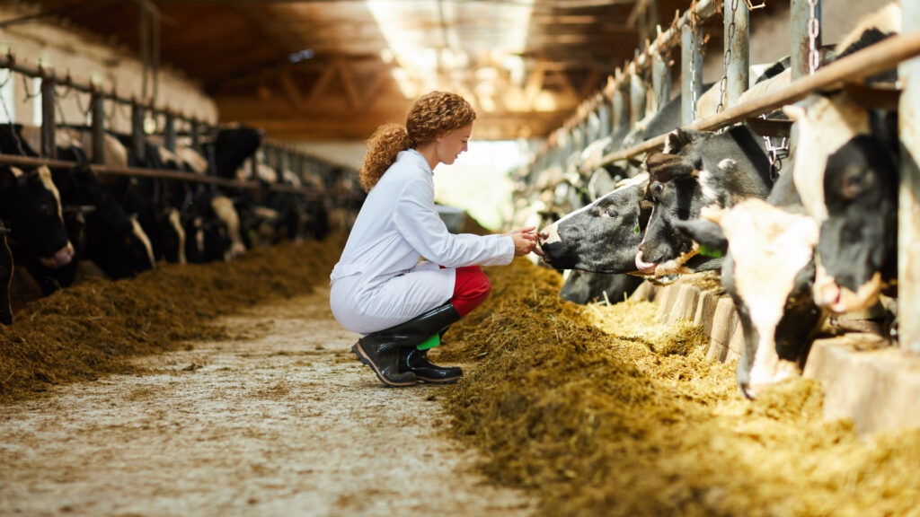 Derecho de Sanidad Animal y Vegetal
