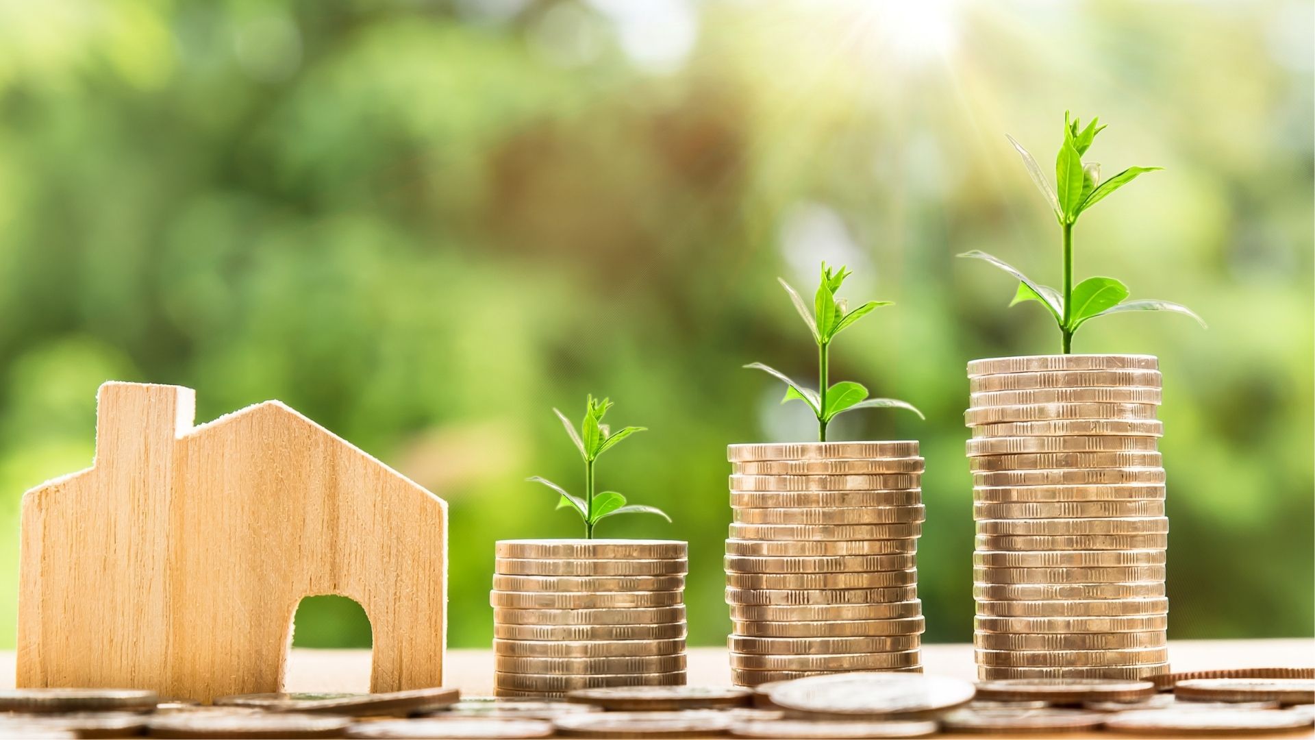 Derechos de Propiedad y Uso de Tierras